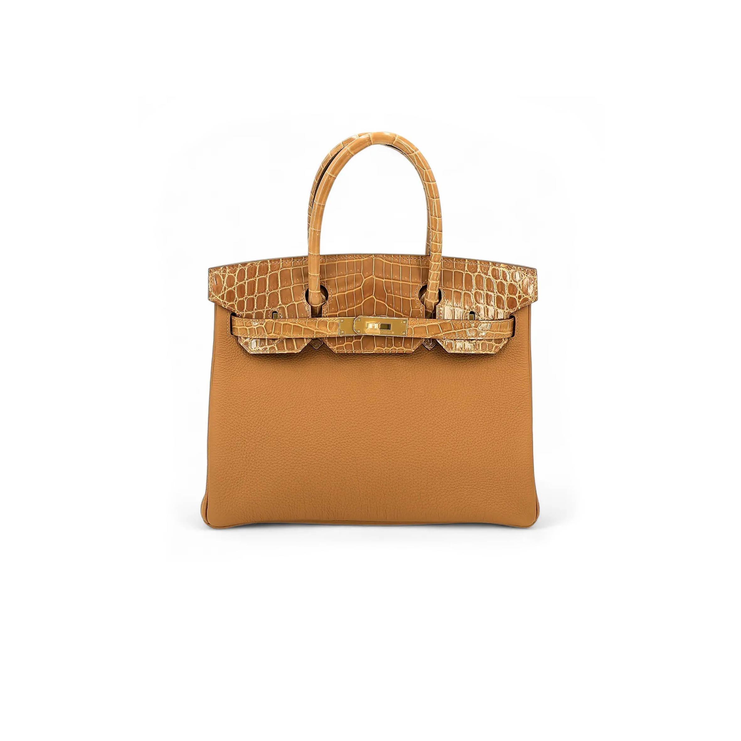 HERMÈS MASTER BIRKIN 25 CROCODILE AND TOGO LEATHER GOLDEN BROWN GOLD BUCKLE H076216CK42 (25*20*13cm)
